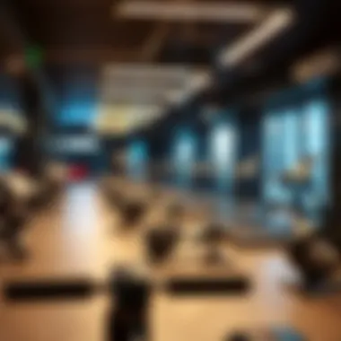 Magnificent Exploring the Gym Scene in Dubai Land Magnificent Exploring the Gym Scene in Dubai Land
