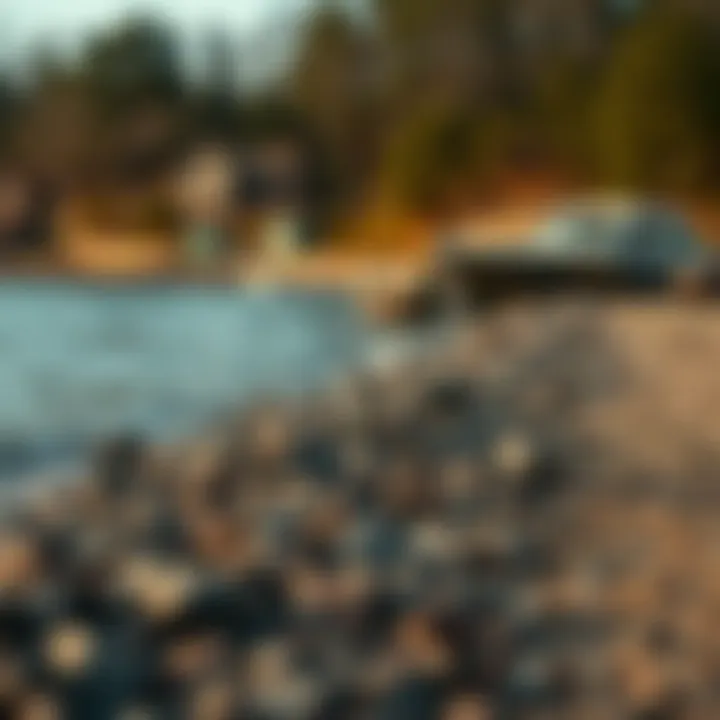 Magnificent Exploring the Shoreline: A Detailed Perspective