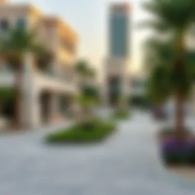 Magnificent Flora West Zone: An In-Depth Exploration of Dubai's Emerging Residential Area Magnificent Flora West Zone: An In-Depth Exploration of Dubai's Emerging Residential Area