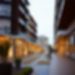 Converting Currency: Understanding the Value of 70000 Euro to AED Introduction