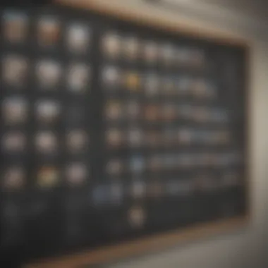 Curriculum Diversity in Deira Schools Diverse curriculum options displayed on a chalkboard