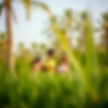 Community park with families enjoying leisure time