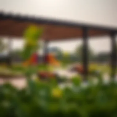 Outdoor amenities and recreational spaces