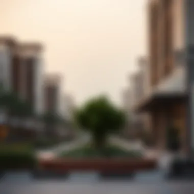 Local Amenities in Muhaisnah Local amenities such as parks and shopping centers in Muhaisnah