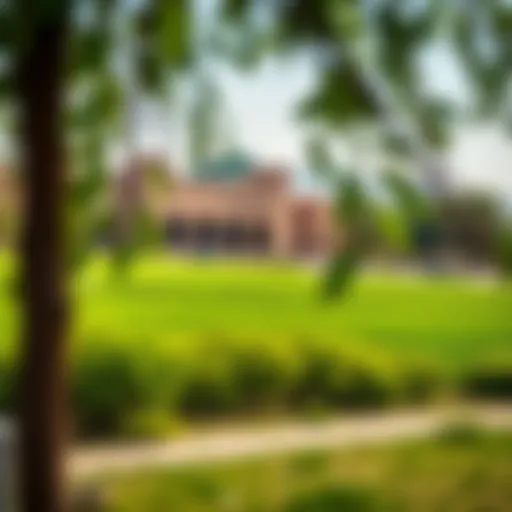 Scenic view of Al Jazer Dam Park showcasing lush greenery