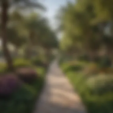 Scenic Walking Path in Al Khalidiya Park A scenic walking path surrounded by diverse flora in the park.