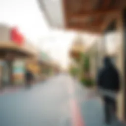 Exploring Al Seef Market: A Comprehensive Guide Introduction