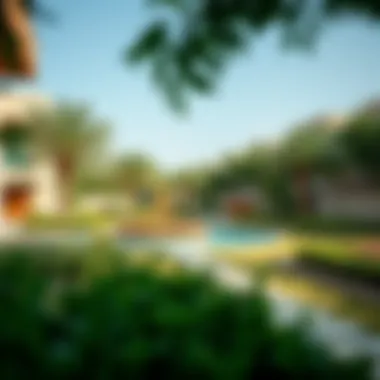 Green Spaces in الرشاد Green spaces and amenities in الرشاد promoting a vibrant lifestyle