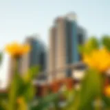 Exploring Damac Smart Heights Through Captivating Imagery Introduction