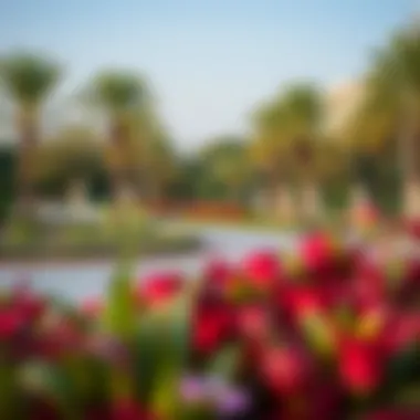 Community Park in District 10 JVC Vibrant community park in District 10 JVC filled with greenery