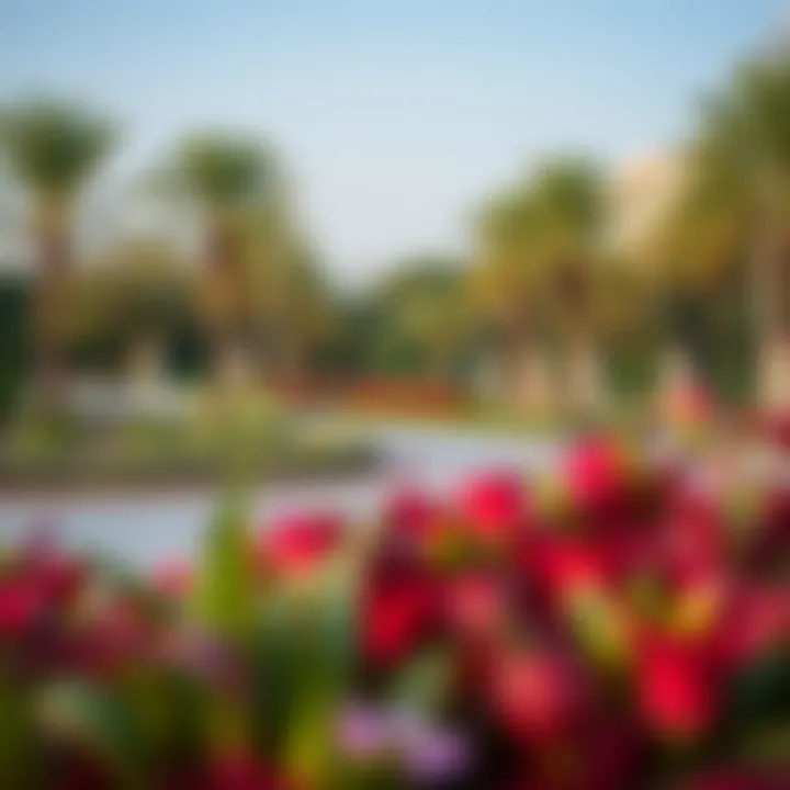 Community Park in District 10 JVC Vibrant community park in District 10 JVC filled with greenery