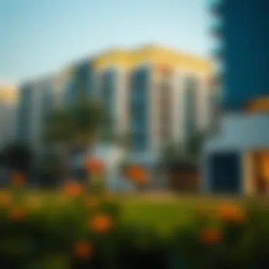 Exploring District 8 in Jumeirah Park: A Comprehensive Guide Summary Exploring District 8 in Jumeirah Park: A Comprehensive Guide Summary
