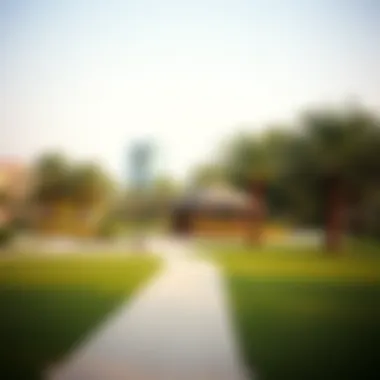 Community Life: Parks in Dubai's Freehold Areas A tranquil park in a freehold area, representing quality of life and community