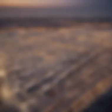 Logistics Activities at Jebel Ali Free Zone Logistics and trade activities at Jebel Ali Free Zone