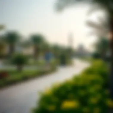 Lush green parks and recreational areas in Jumeira Village Circle
