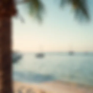 Scenic Beach Landscape of Jumeirah Bay Island Serene beach landscape on Jumeirah Bay Island with clear waters and palm trees