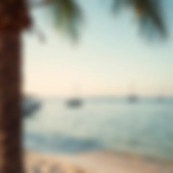 Scenic Beach Landscape of Jumeirah Bay Island Serene beach landscape on Jumeirah Bay Island with clear waters and palm trees