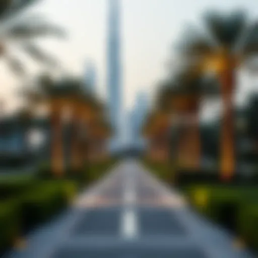 Exploring Khalifa A Path Park Introduction