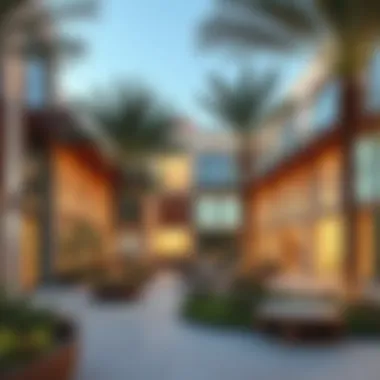 Vibrant community spaces developed by Meraas, emphasizing connectivity