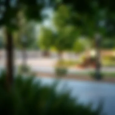 Community Amenities in Mussafah 21 Community amenities in Mussafah 21 featuring parks and recreational areas