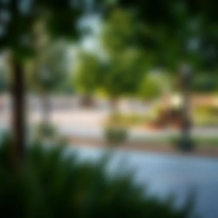 Community Amenities in Mussafah 21 Community amenities in Mussafah 21 featuring parks and recreational areas