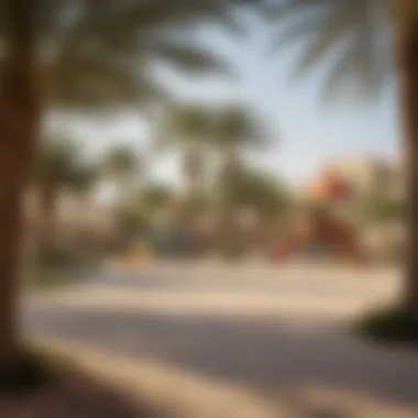 Community Park in النعيمية Community park featuring recreational facilities for families in النعيمية