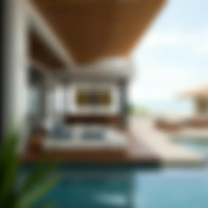 Exploring Nikki Beach Villa: A Comprehensive Overview Summary