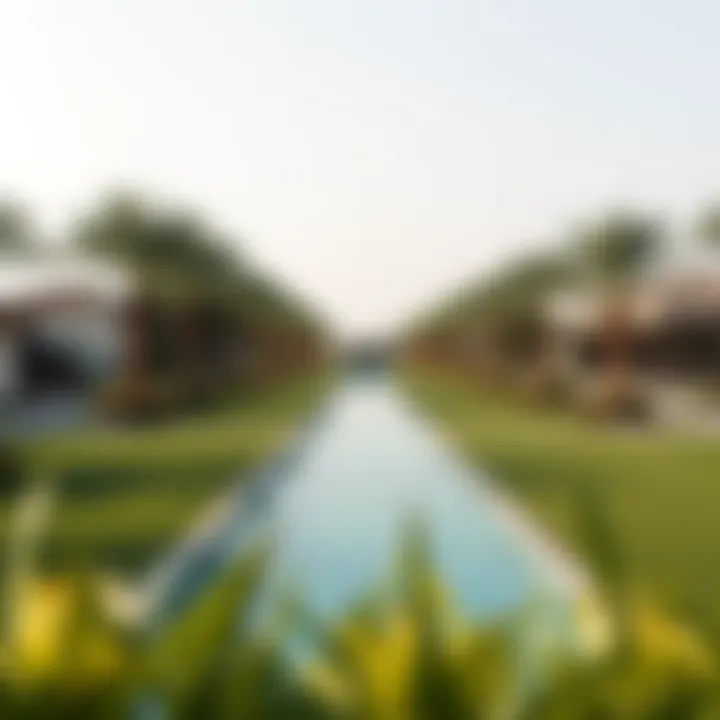 Notable Exploring Open Spaces in Dubai