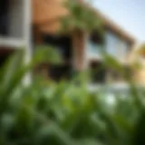 Exploring Park Residences in Dubai's Real Estate Landscape Introduction