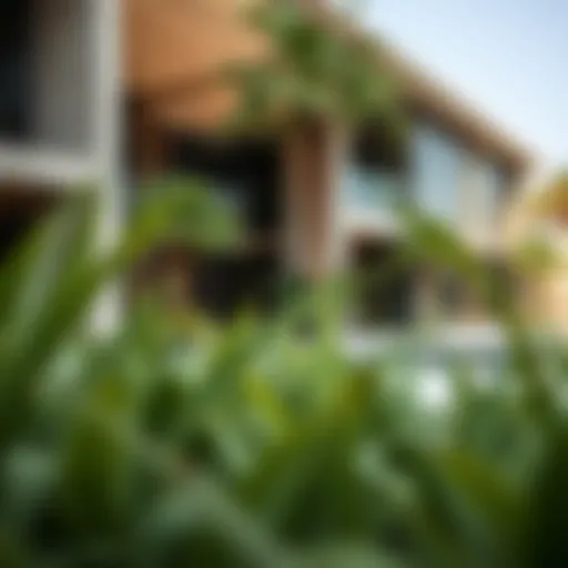 Exploring Park Residences in Dubai's Real Estate Landscape Introduction