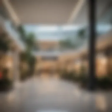 Engaging Retail Environments in Silicon Oasis Engaging retail environments that attract customers in Silicon Oasis.