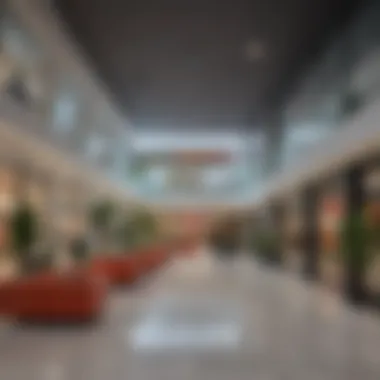Vibrant Retail Spaces in Silicon Oasis Vibrant retail spaces in Silicon Oasis showcasing diverse businesses.