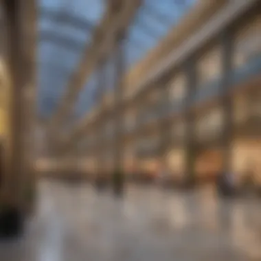 Vibrant Retail Hub A modern shopping center in Mohammed Bin Zayed City showcasing diverse retail options.