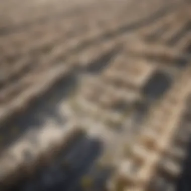 Strategic Location of Town Square Aerial view of Town Square showcasing its strategic location