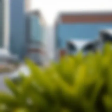 Exploring Sharjah Sustainable City: An Insight into the Future of Urban Living Summary