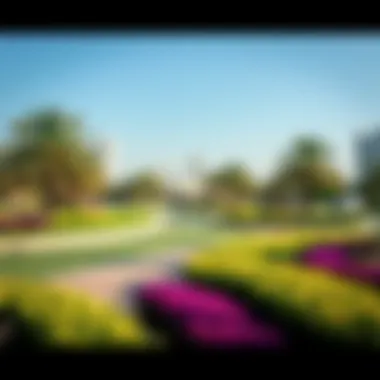 Exploring Shees Park Dubai: An Insightful Guide to One of the City's Hidden Gems Introduction