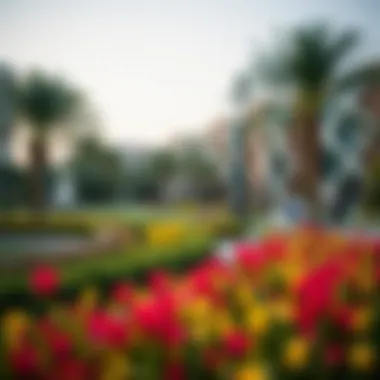 Exploring Shees Park Dubai: An Insightful Guide to One of the City's Hidden Gems Summary