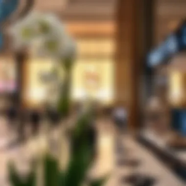 Notable Exploring Shops in Dubai Fashion Center: A Comprehensive Guide