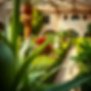 Notable Exploring the Best Gardens in Dubai