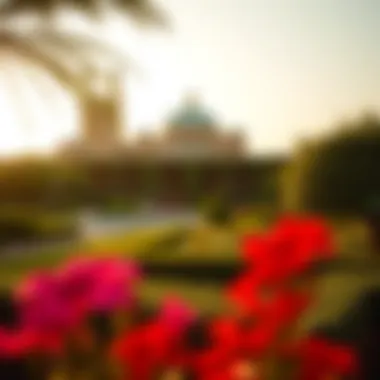 Exploring the Best Gardens in Dubai Summary
