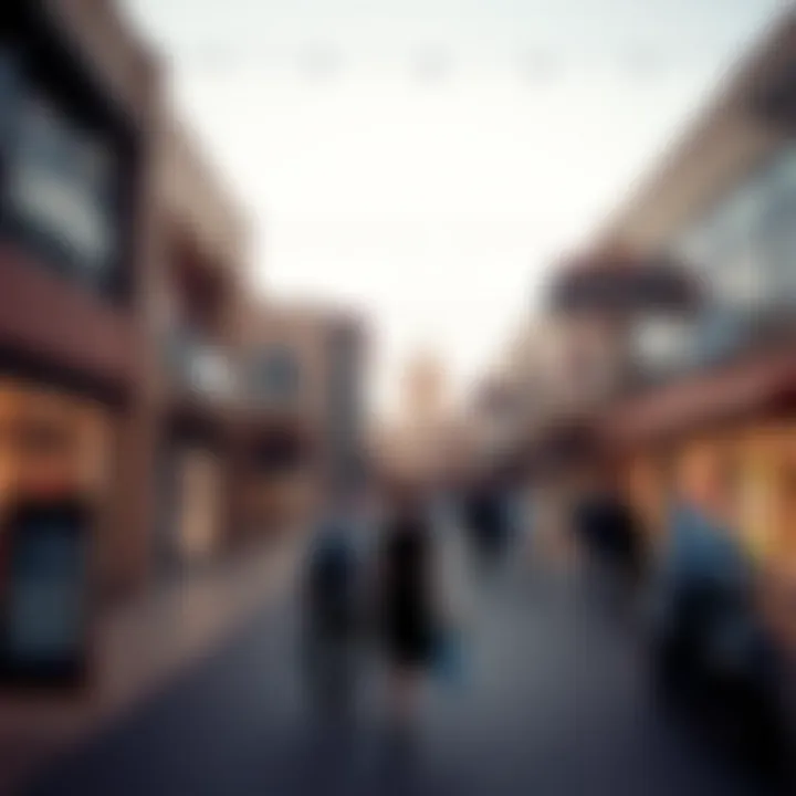Exploring the Dynamics of Dubai's Outlet Shopping Scene Summary