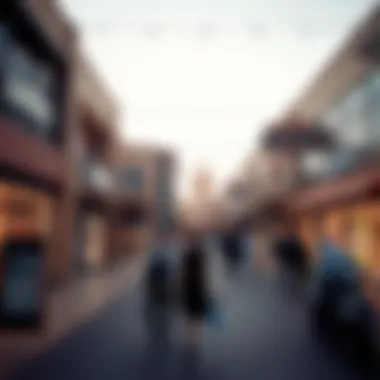 Exploring the Dynamics of Dubai's Outlet Shopping Scene Summary Exploring the Dynamics of Dubai's Outlet Shopping Scene Summary