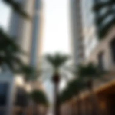 Stately Fan Palm: Enhancing Urban Landscapes Stately Fan Palm in Urban Setting