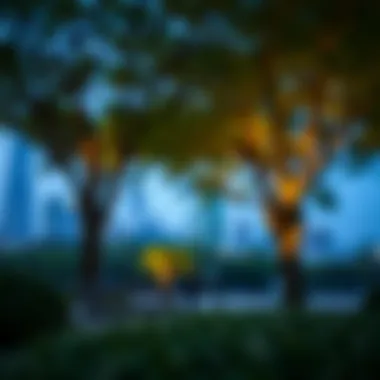 Notable Exploring the Essence of Parks: An Integral Component of Urban Living