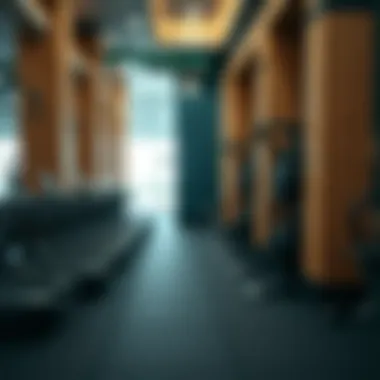 Notable Exploring the Gym Scene in Dubai Land Notable Exploring the Gym Scene in Dubai Land