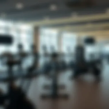 Exploring the Gym Scene in Dubai Land Summary Exploring the Gym Scene in Dubai Land Summary