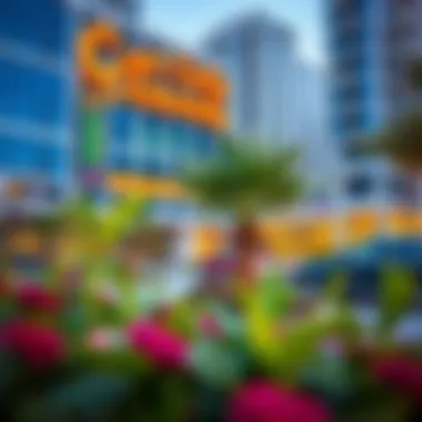 Vibrant community spaces and green areas in Cluster K