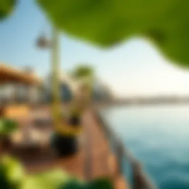 Exploring the Lotus Lagoon: A Comprehensive Guide to Dubai's Unique Waterfront Development Summary
