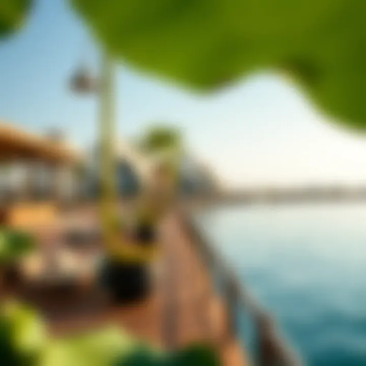 Exploring the Lotus Lagoon: A Comprehensive Guide to Dubai's Unique Waterfront Development Summary
