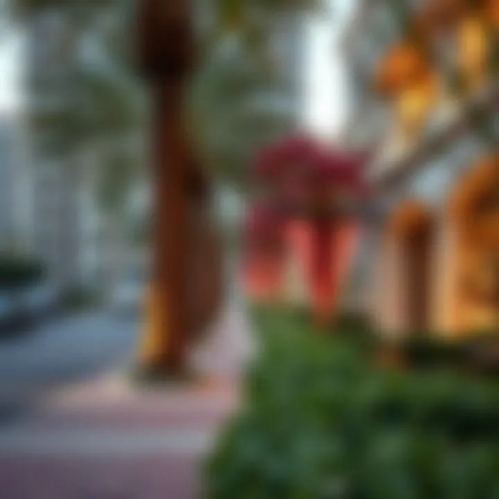 Exploring the Real Estate Potential Near Parks in Dubai Summary